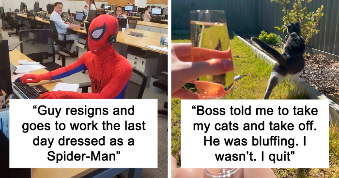 53 Times People Made The Most Of Quitting Their Jobs (New Pics)