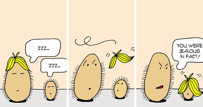 My “2 Hairy Potatoes” Comic Series Is Inspired By Quirky Life Events