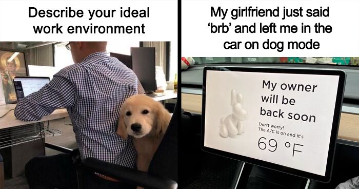 80 Truthful Memes About What It’s Like To Have A Dog