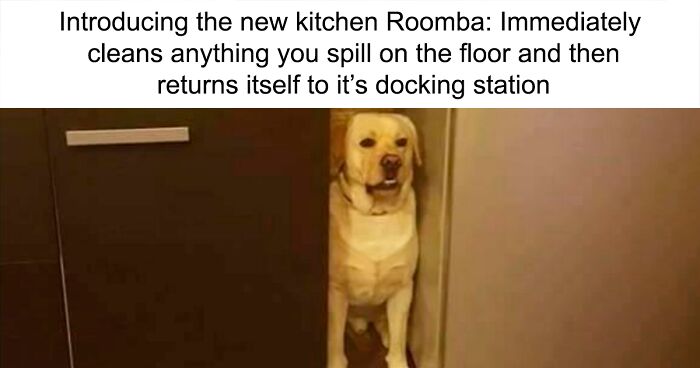 80 Dog Memes From A Facebook Page Dedicated To The Bestest Boys And Girls