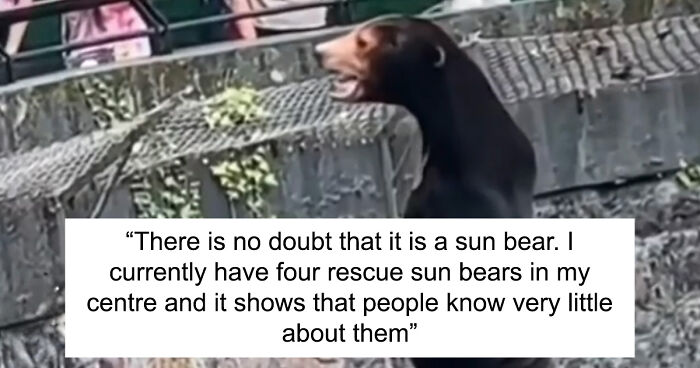 People Cannot Stop Arguing Whether Sun Bears Are Humans In Costumes