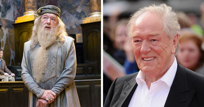 Harry Potter Actor Michael Gambon Passes Away At 82