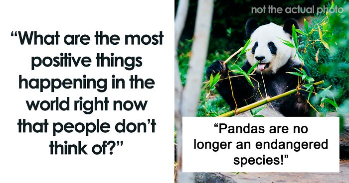 33 People Share Some Positive Things That Are Happening In The World Right Now