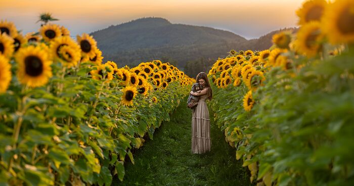 I Photographed Dogs And Their Owners Enjoying Their Day In The Flower Fields (20 Pics)