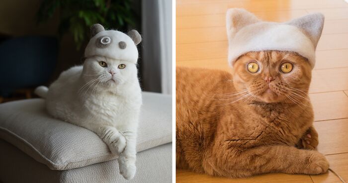 Japanese Artists Design Cute And Funny Feline Hats From Their Own Cats' Fur (32 Pics)