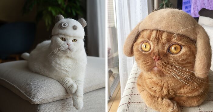 Charming Cat Hats Created By Japanese Couple Using Naturally Shed Fur (32 Pics)