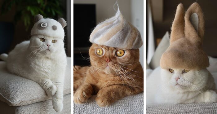 Japanese Couple Make Charming Cat Hats From Naturally Shed Fur (32 Pics)