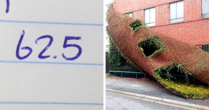 45 Times People Stumbled Upon Oddly Satisfying Things And Just Had To Share Them Online (New Pics)