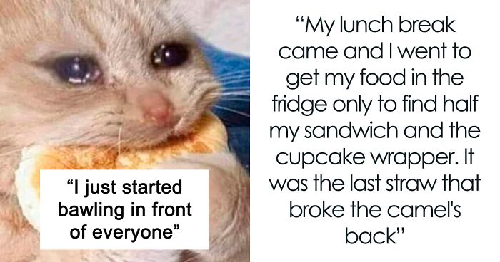 ‘Lunch Thief’ Eats Half Of Employee’s Lunch, They Start Bawling, Employees Laugh