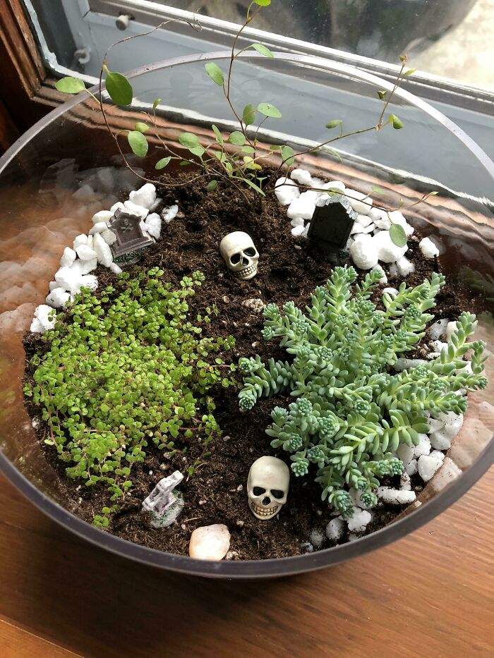 Halloween Terrarium