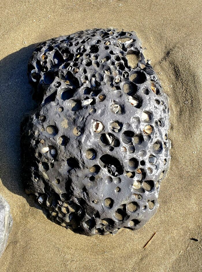 Large Rock On Short Sand Beach. Near Cannon Beach, OR