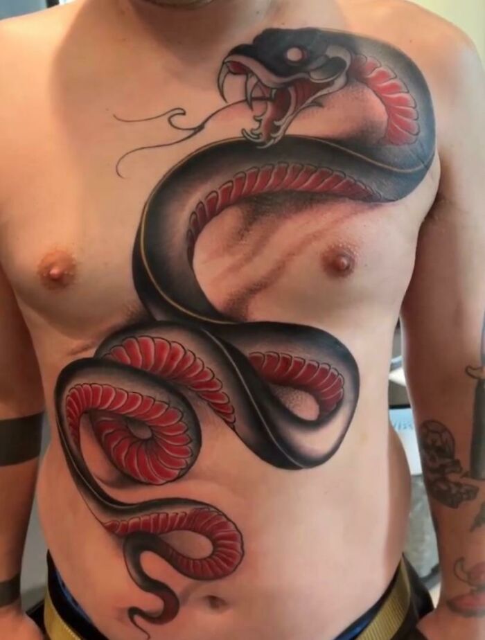 Snake Cover Up