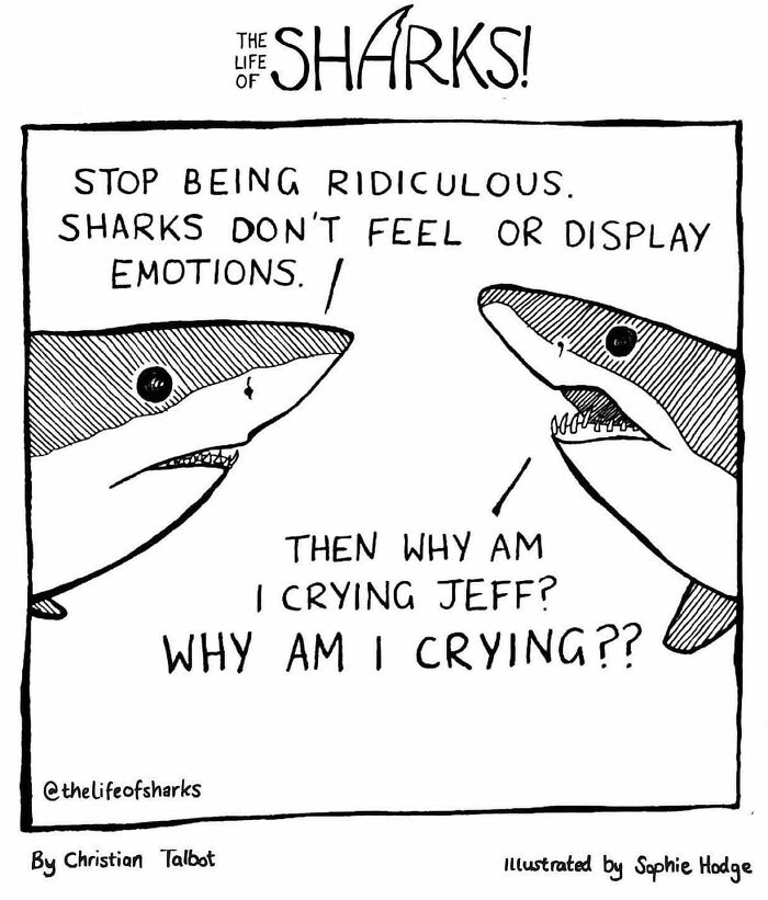 40 New Comics That Depict The Snarky Conversations Between Sharks And ...