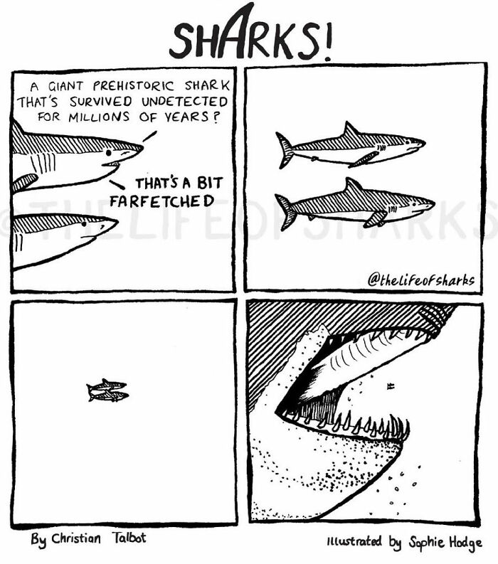40 New Comics That Depict The Snarky Conversations Between Sharks And ...