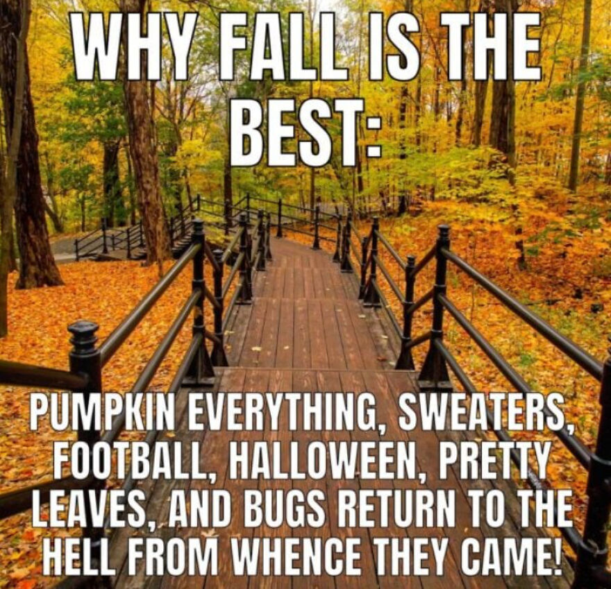 Fall Memes