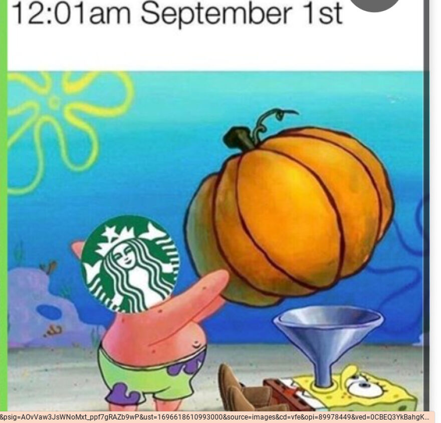 Fall Memes