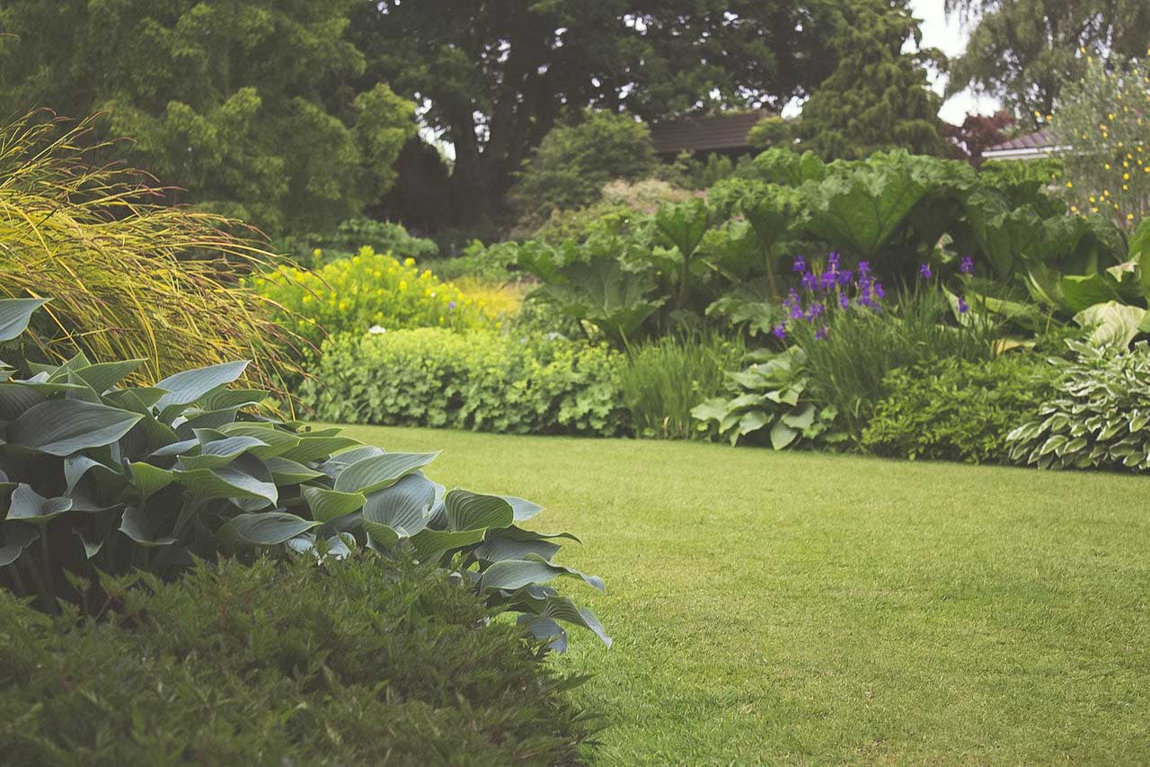 Well-maintained garden