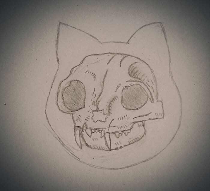 Cat Skull