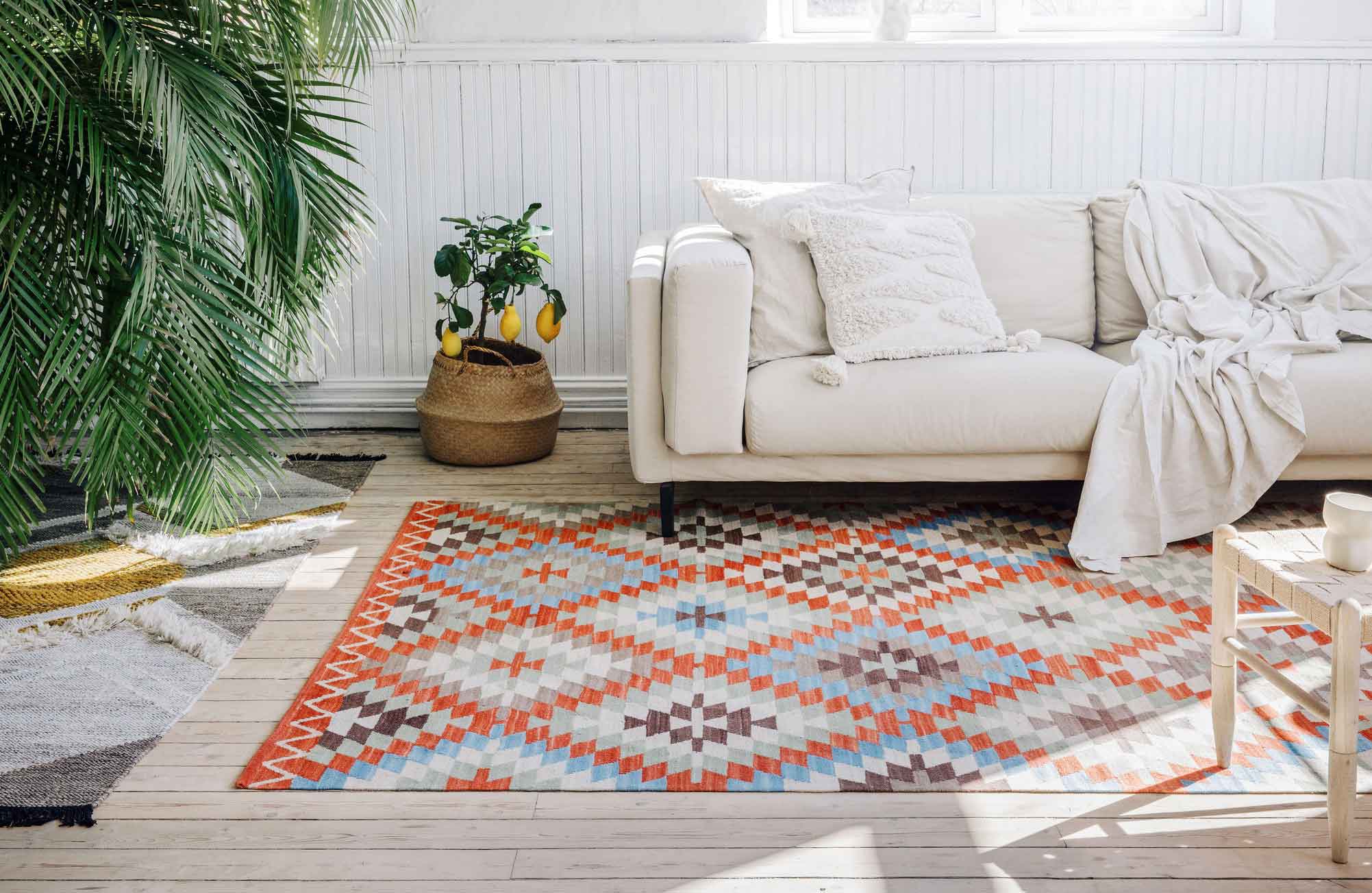 Living room with white sofa, plants and colorful carpet