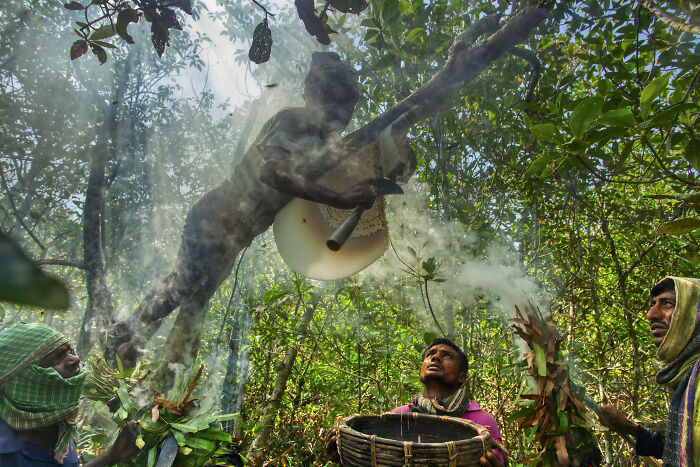 Mangrove Action Awards Rituals