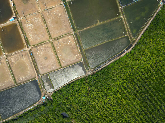 Mangrove Action Awards Fields