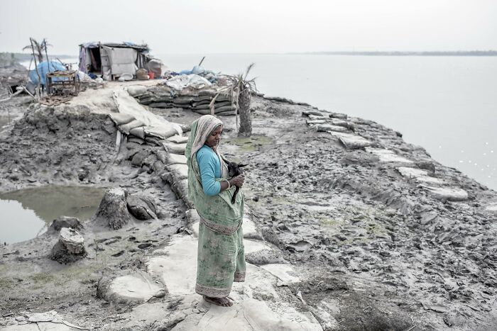 Mangrove Action Awards the Sundarbans