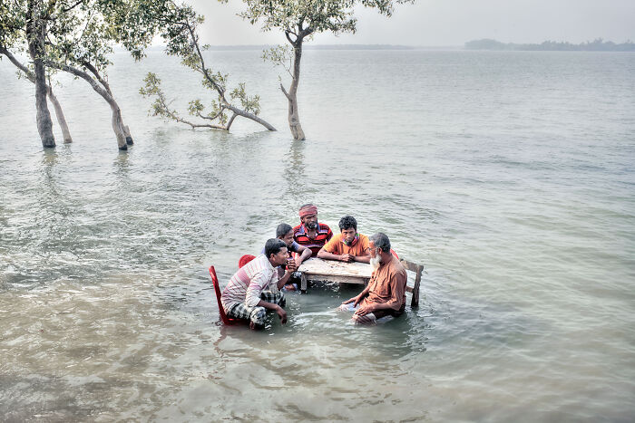 Mangrove Action Awards