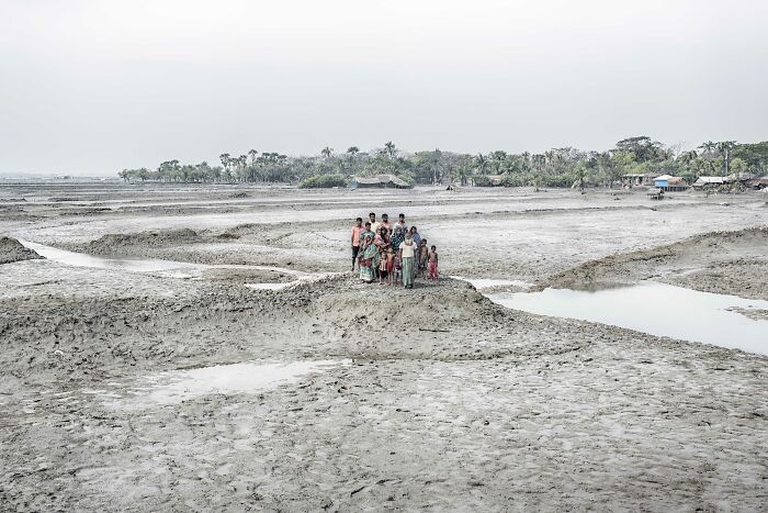 Mangrove Action Awards