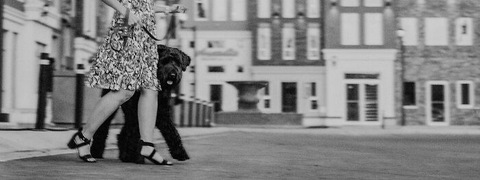 Black and white photo of walking dog