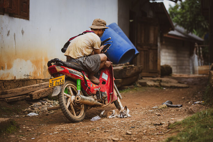 Dog sleeping by the motorbike