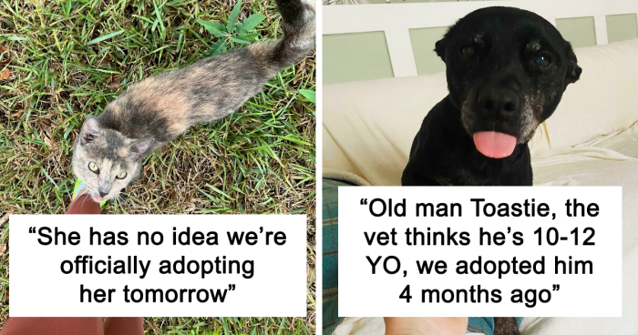 100 Heartwarming Pictures Of Adopted Pets That Found Their Forever Family (October Edition)