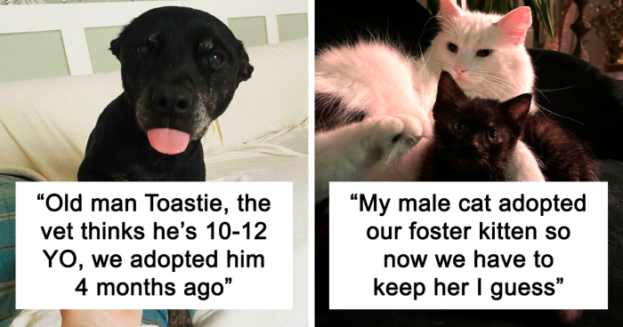 100 Of The Most Adorable Adoption Pics Of The Month (October Edition)