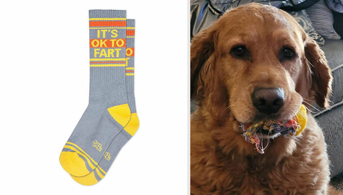 "It's Okay To Fart" Socks: Owner-Tested, Dog-Approved Socks Are Bound To Bring A Gas Of Laughter To Your Day!