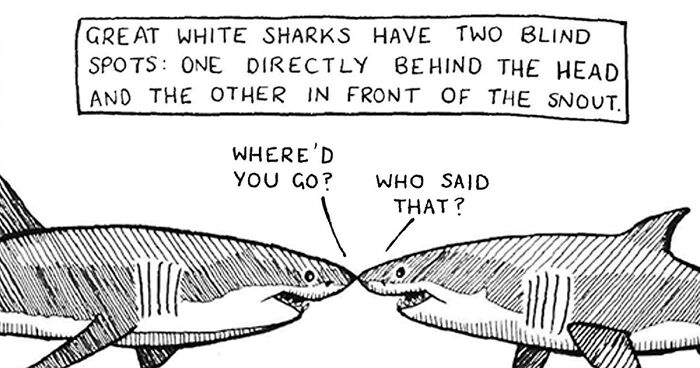 68 New Comics From The Series “The Life Of Sharks” Showcasing The Hilarious Life Of Aquatic Life