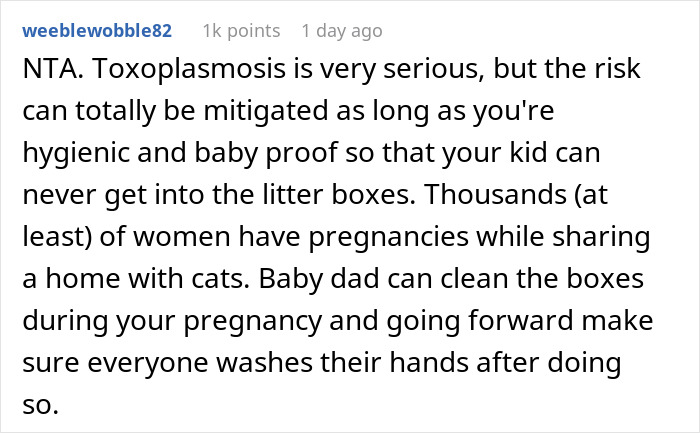 Woman Is Disappointed Friend Won’t Get Rid Of Her Cats Now That She’s Pregnant To Protect Her Baby