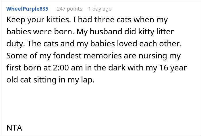 Woman Is Disappointed Friend Won’t Get Rid Of Her Cats Now That She’s Pregnant To Protect Her Baby