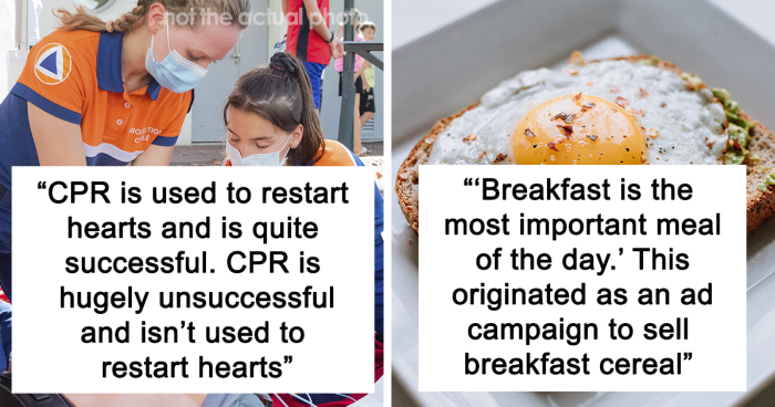 33 People Share Facts That Are Actually Completely Untrue