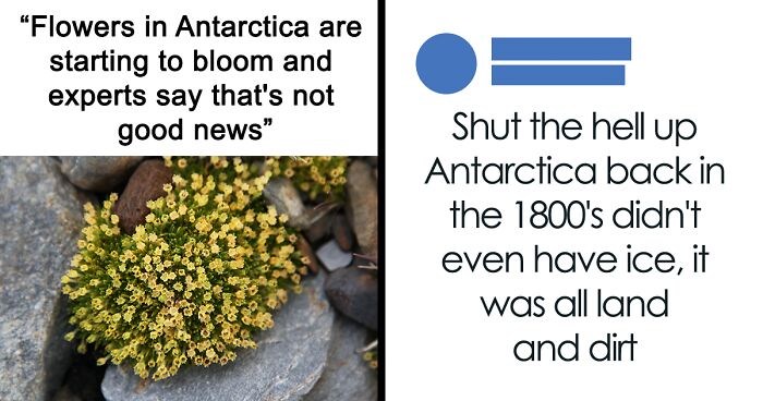 This Group Is The Treasure Trove Of Incorrect Corrections, Here Are 70 Of The Best Examples (New Pics)