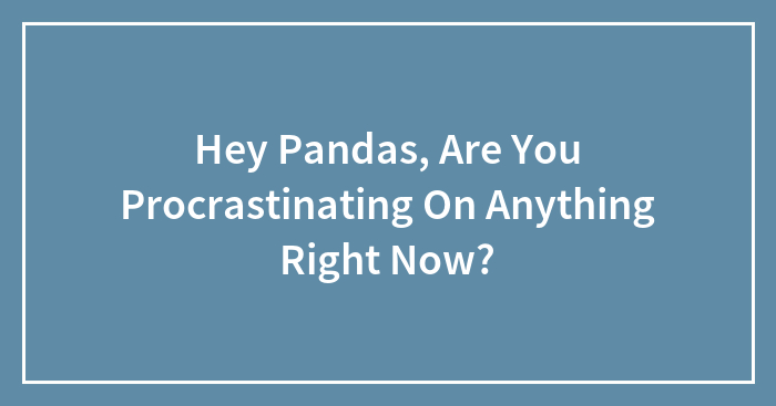 Hey Pandas, Are You Procrastinating On Anything Right Now?