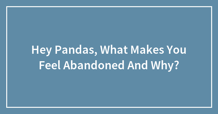 Hey Pandas, What Makes You Feel Abandoned And Why? (Closed)