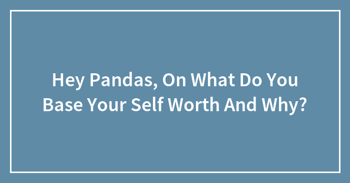 Hey Pandas, On What Do You Base Your Self Worth And Why? (Closed)