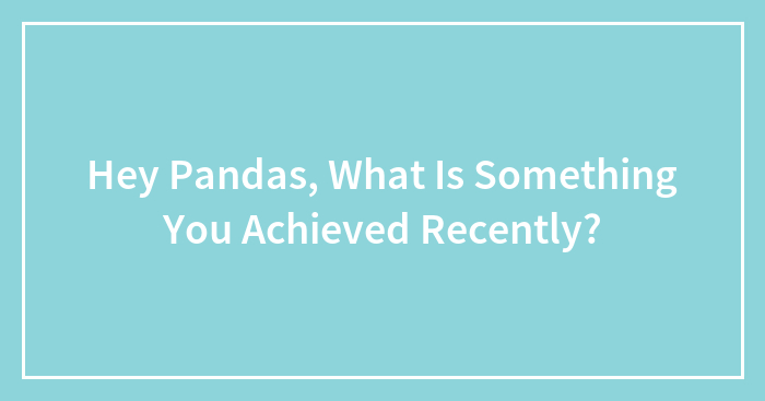 Hey Pandas, What Is Something You Achieved Recently? (Closed)