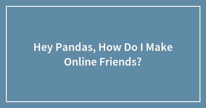 Hey Pandas, How Do I Make Online Friends? (Closed)