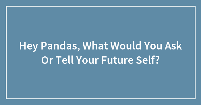 Hey Pandas, What Would You Ask Or Tell Your Future Self? (Closed)