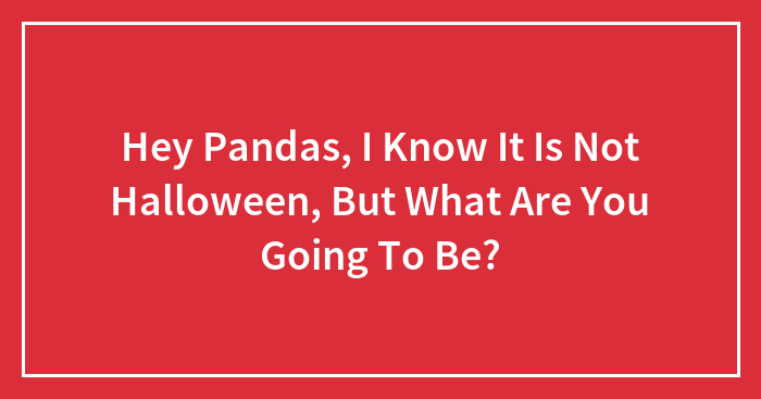 Hey Pandas, I Know It Is Not Halloween, But What Are You Going To Be? (Closed)