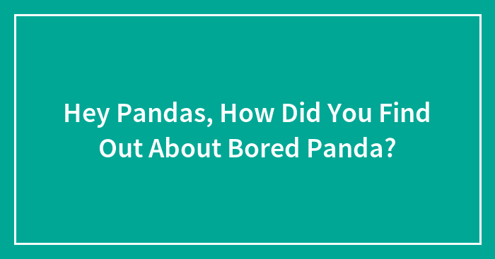 Hey Pandas, How Did You Find Out About Bored Panda? (Closed)