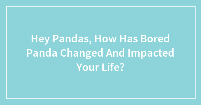 Hey Pandas, How Has Bored Panda Changed And Impacted Your Life? (Closed)