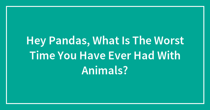 Hey Pandas, What Is The Worst Time You Have Ever Had With Animals? (Closed)