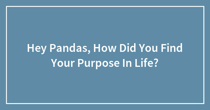 Hey Pandas, How Did You Find Your Purpose In Life?