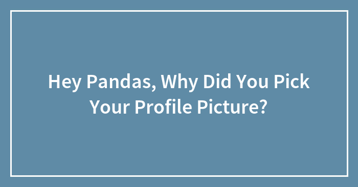 Hey Pandas, Why Did You Pick Your Profile Picture? (Closed)